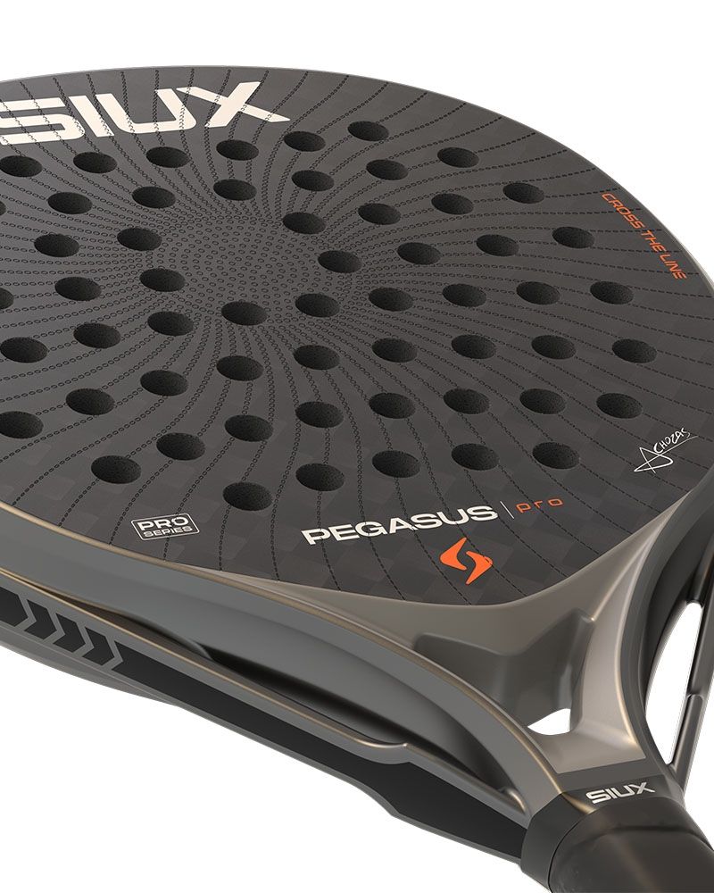 SIUX PEGASUS PRO 2026 STORM