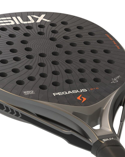 SIUX PEGASUS PRO 2026 STORM